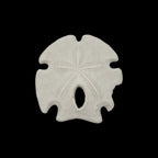 Arrowhead Sand Dollar
