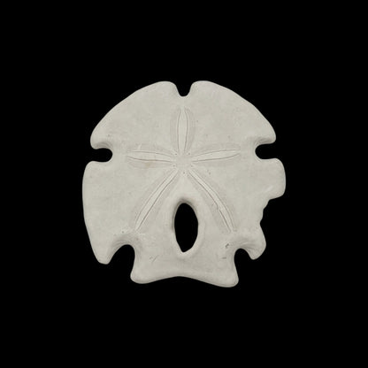 Arrowhead Sand Dollar