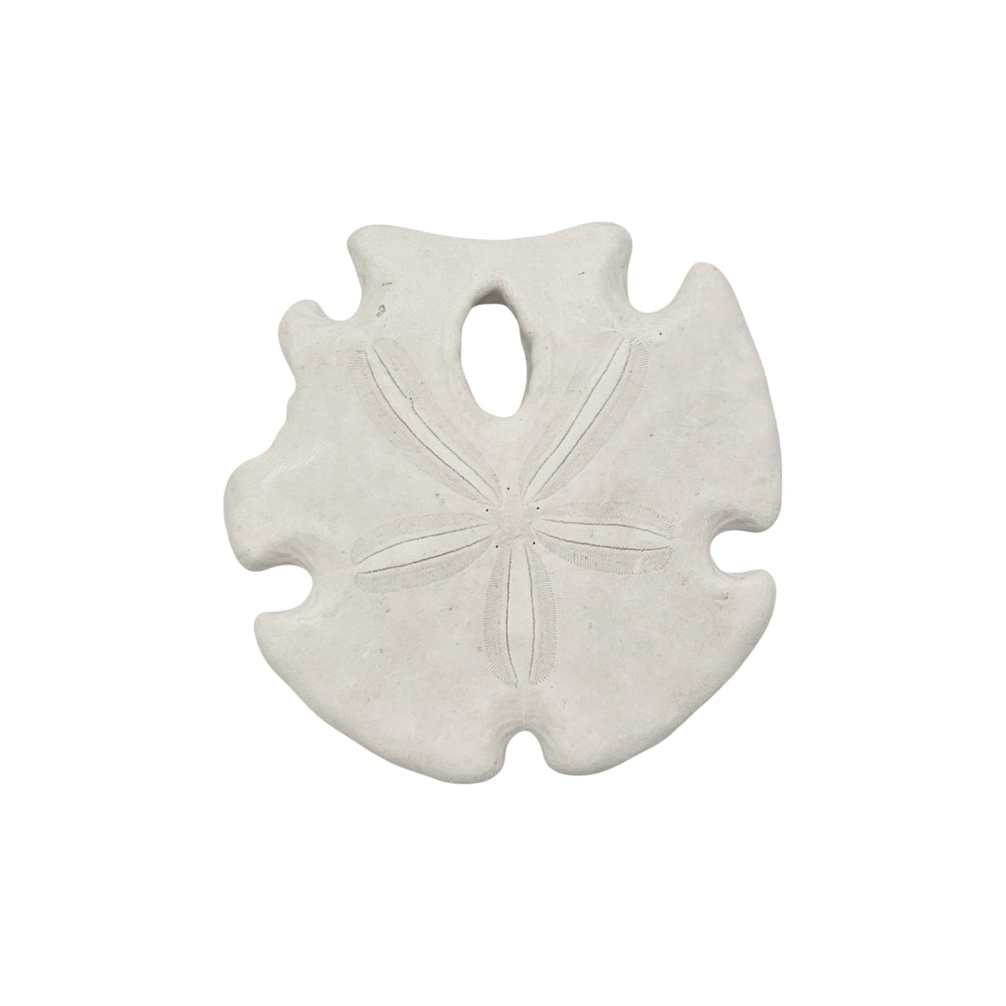 Arrowhead Sand Dollar