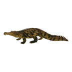 Sarcosuchus (Safari)