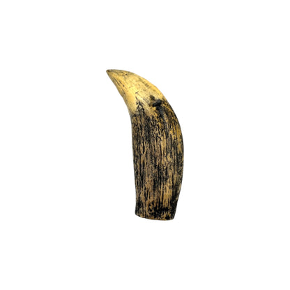 Tooth Replica (Sarcosuchus)