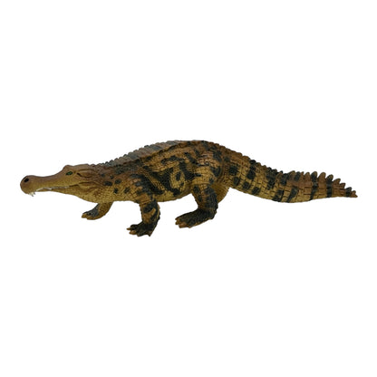 Sarcosuchus (Safari)