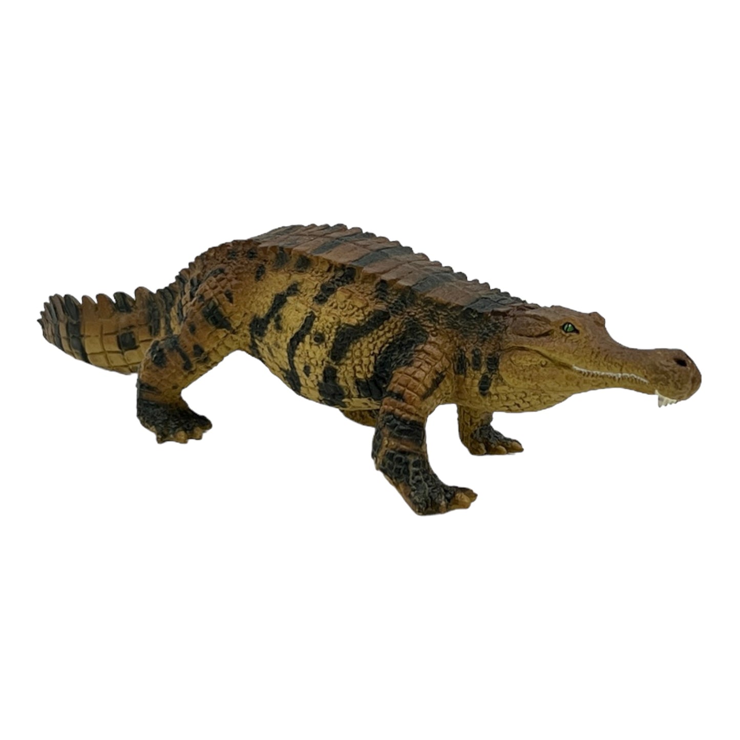 Sarcosuchus (Safari)