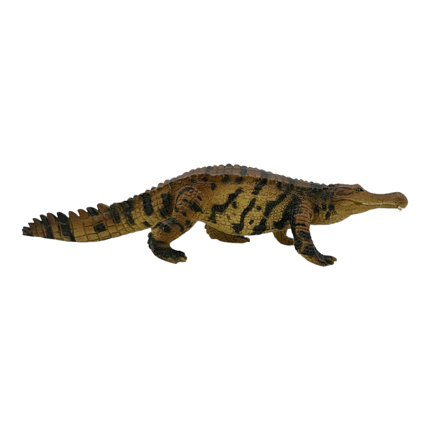 Sarcosuchus (Safari)