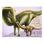 Sauropods: The Largest Animals to Ever Walk the Earth