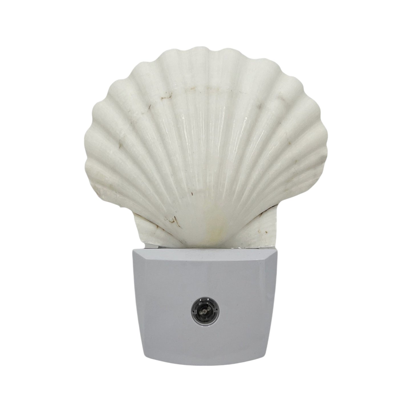 Scallop Night Light