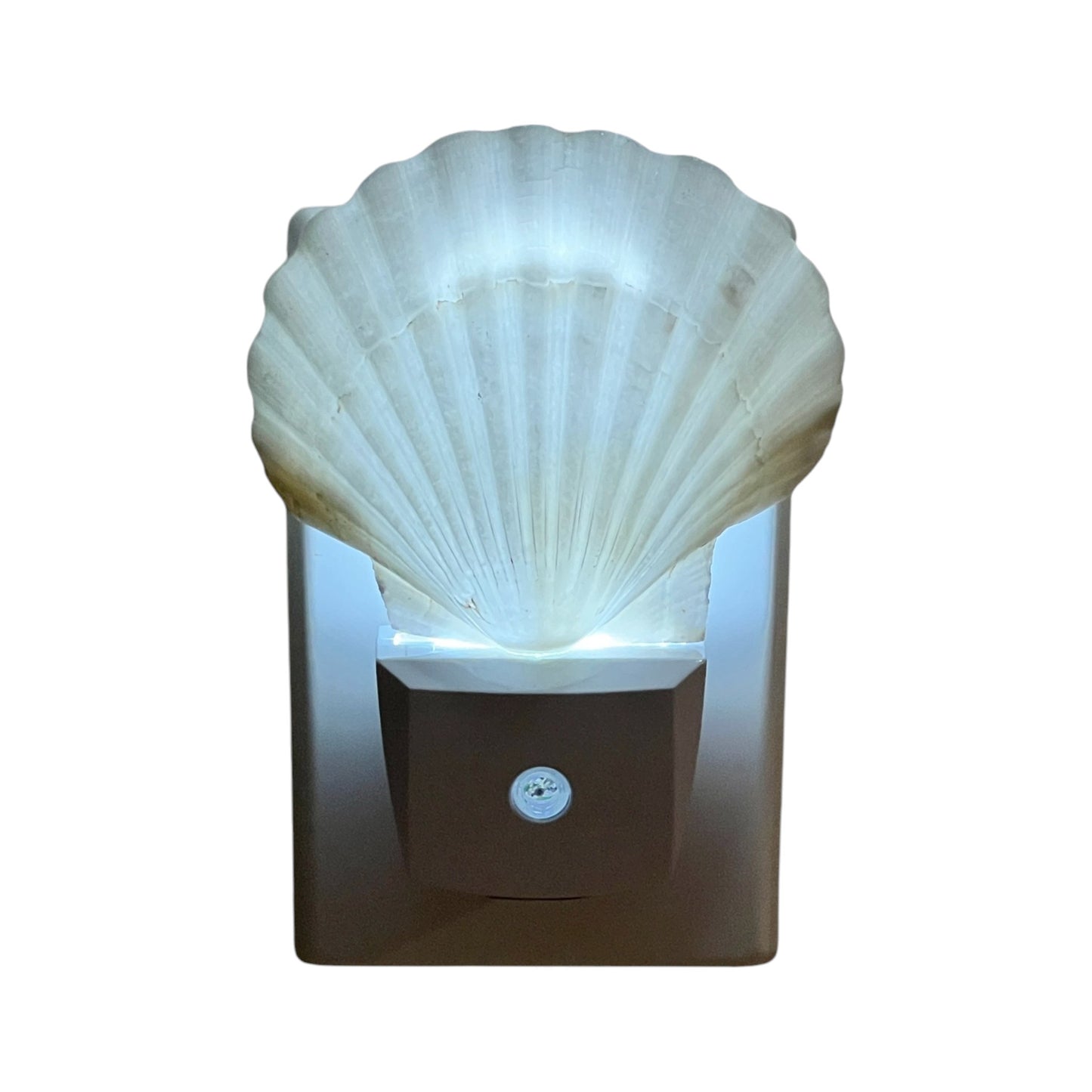 Scallop Night Light