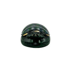 Scarab Beetle (Glossy)