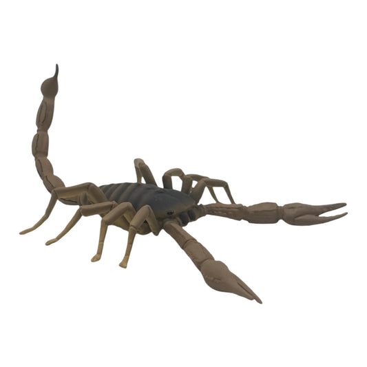 Scorpion (Safari)