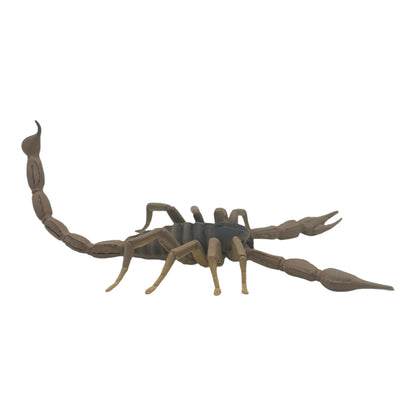 Scorpion (Safari)
