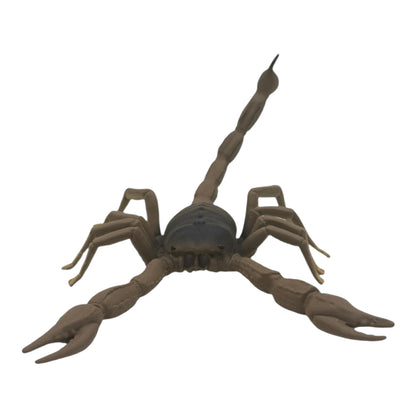 Scorpion (Safari)