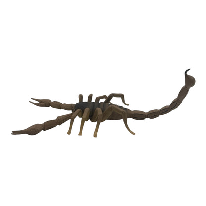 Scorpion (Safari)