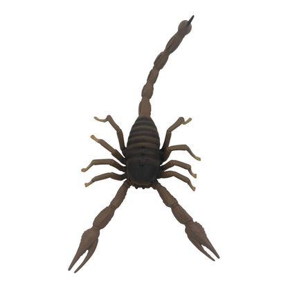 Scorpion (Safari)