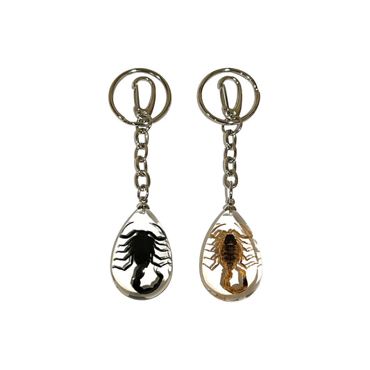 Scorpion Keychain