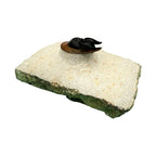 Scotoharpes Trilobite (2" on 5.25 x 3.75" Matrix)