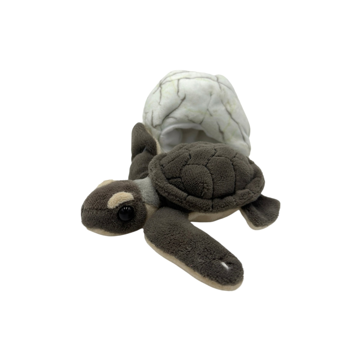 Sea Turtle Hatchling Plush