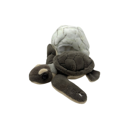 Sea Turtle Hatchling Plush