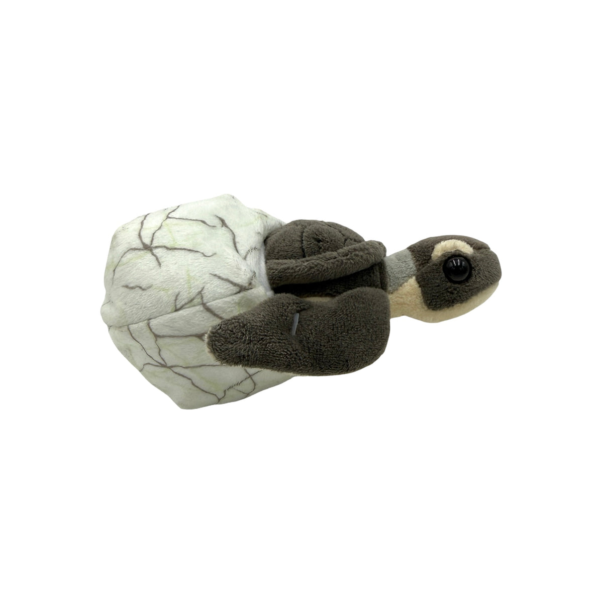 Sea Turtle Hatchling Plush