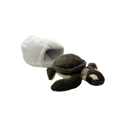 Sea Turtle Hatchling Plush