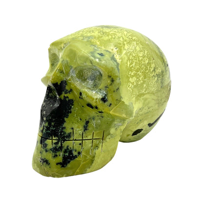 Skull (Serpentine)