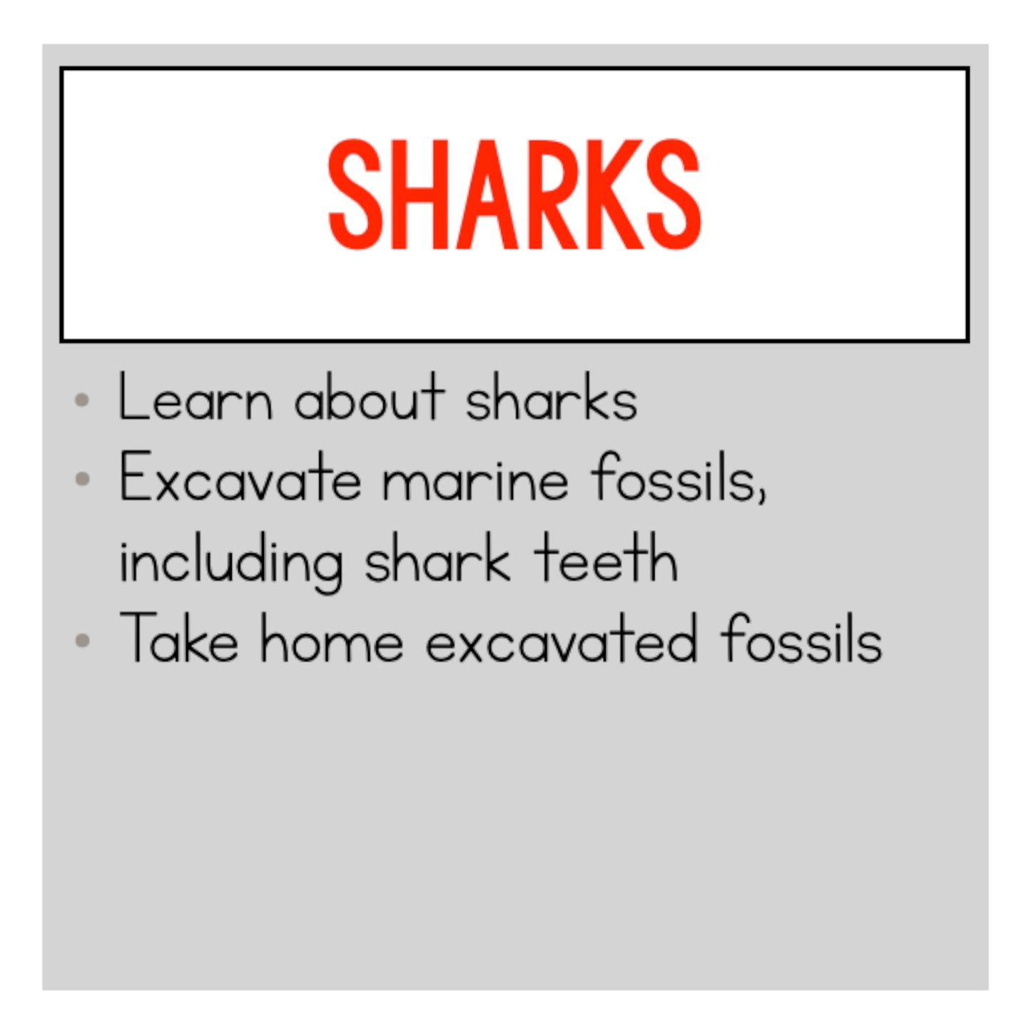 Shark Class