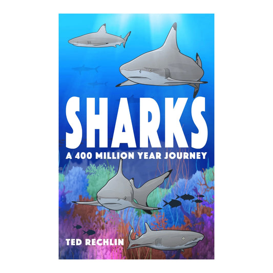Sharks: A 400 Million Year Journey