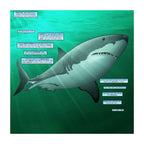 Sharks: A 400 Million Year Journey