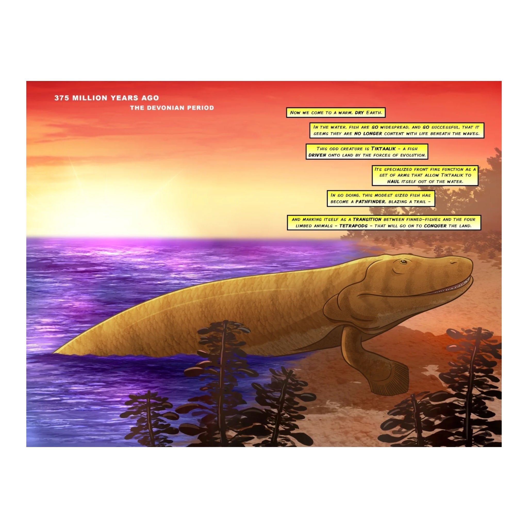 Sharks: A 400 Million Year Journey