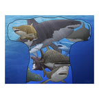 Sharks: A 400 Million Year Journey