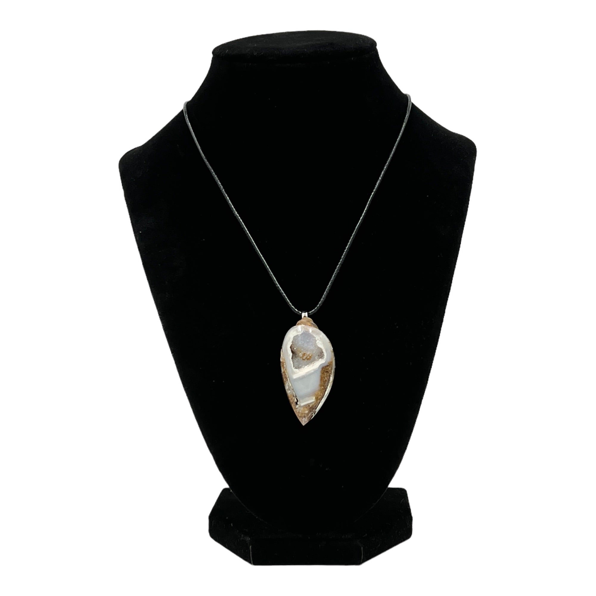 Unique Crystallized Shell Necklace – Tyrannostorus