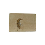 Fossil Shrimp (Carpopenaeus)