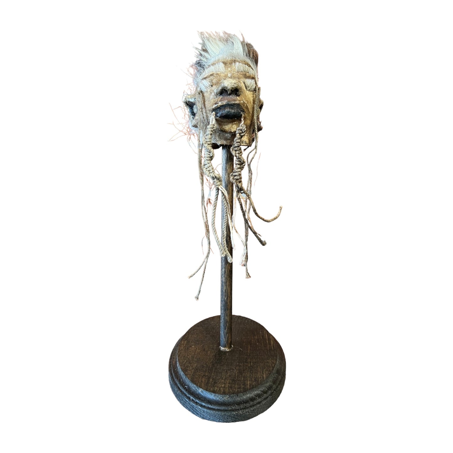 Shrunken Head