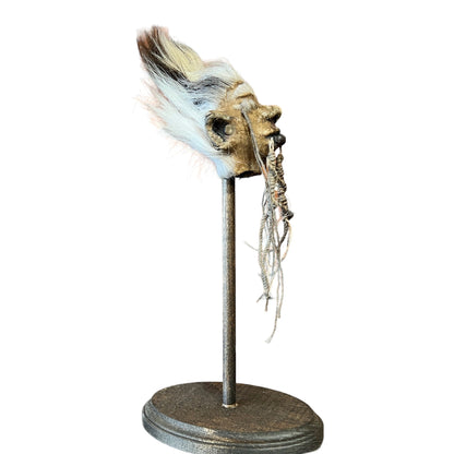 Shrunken Head