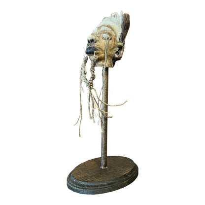 Shrunken Head