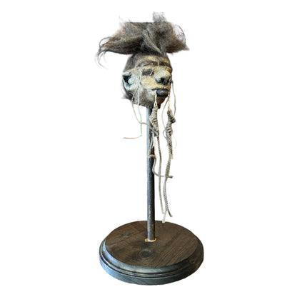 Shrunken Head