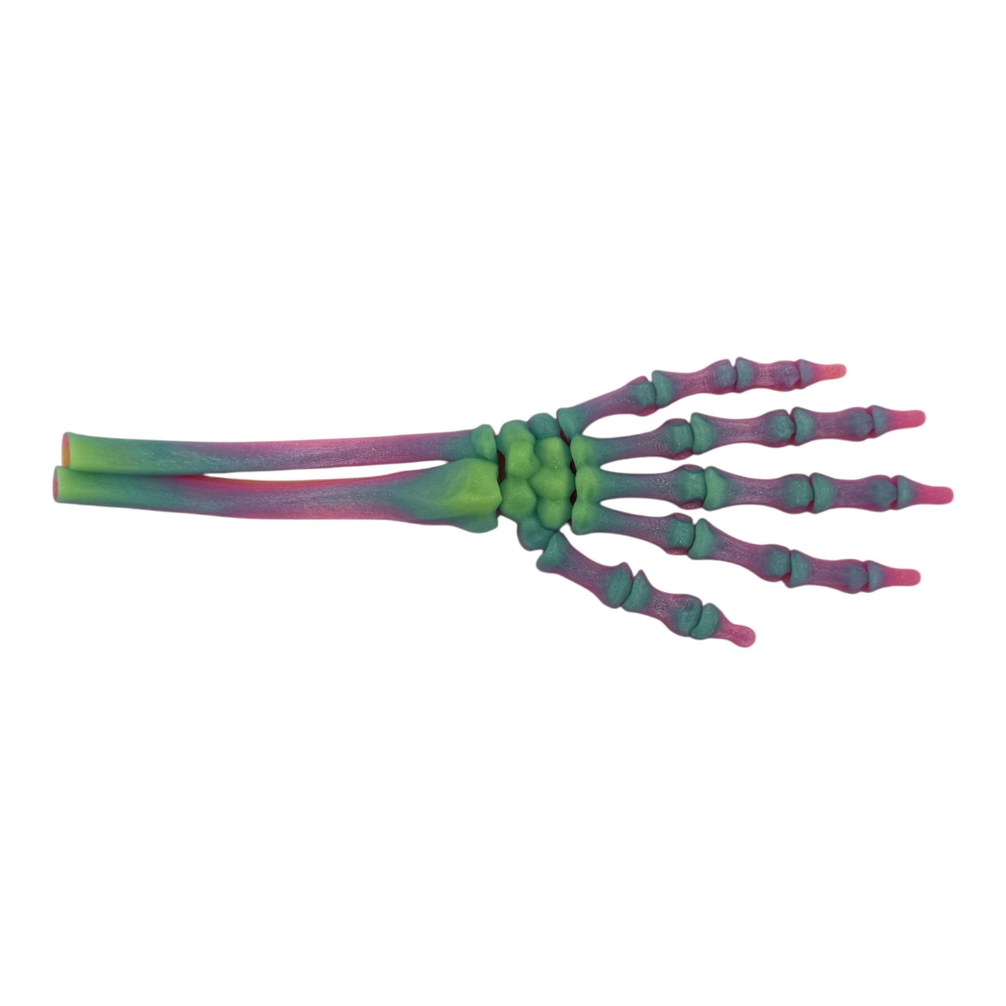 3D Printed Skeleton Hand