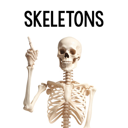 Skeleton Class