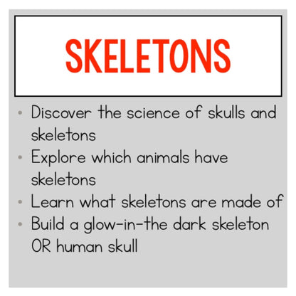 Skeleton Class