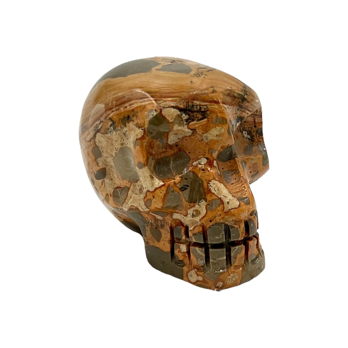 Skull (Leopard Jasper)