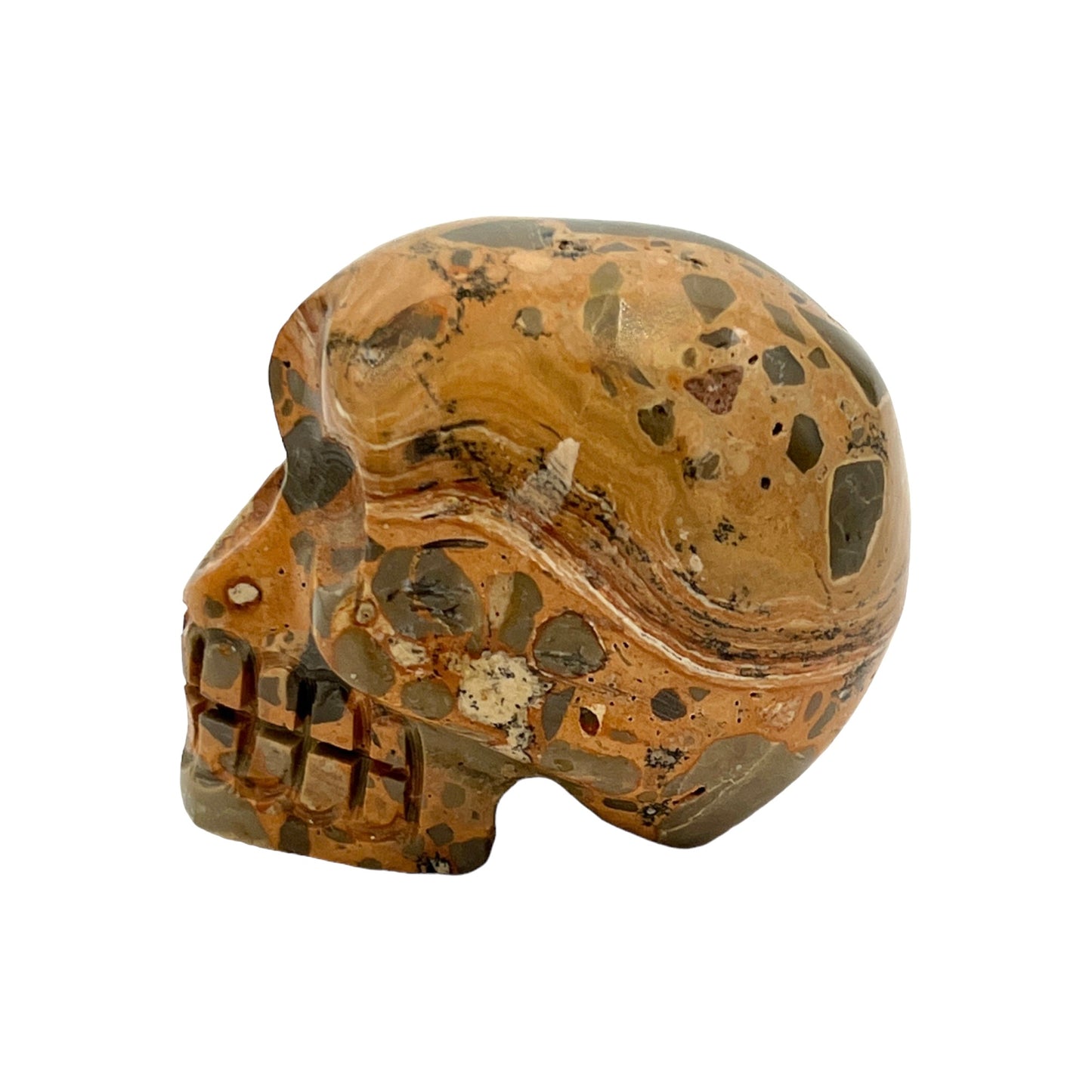 Skull (Leopard Jasper)