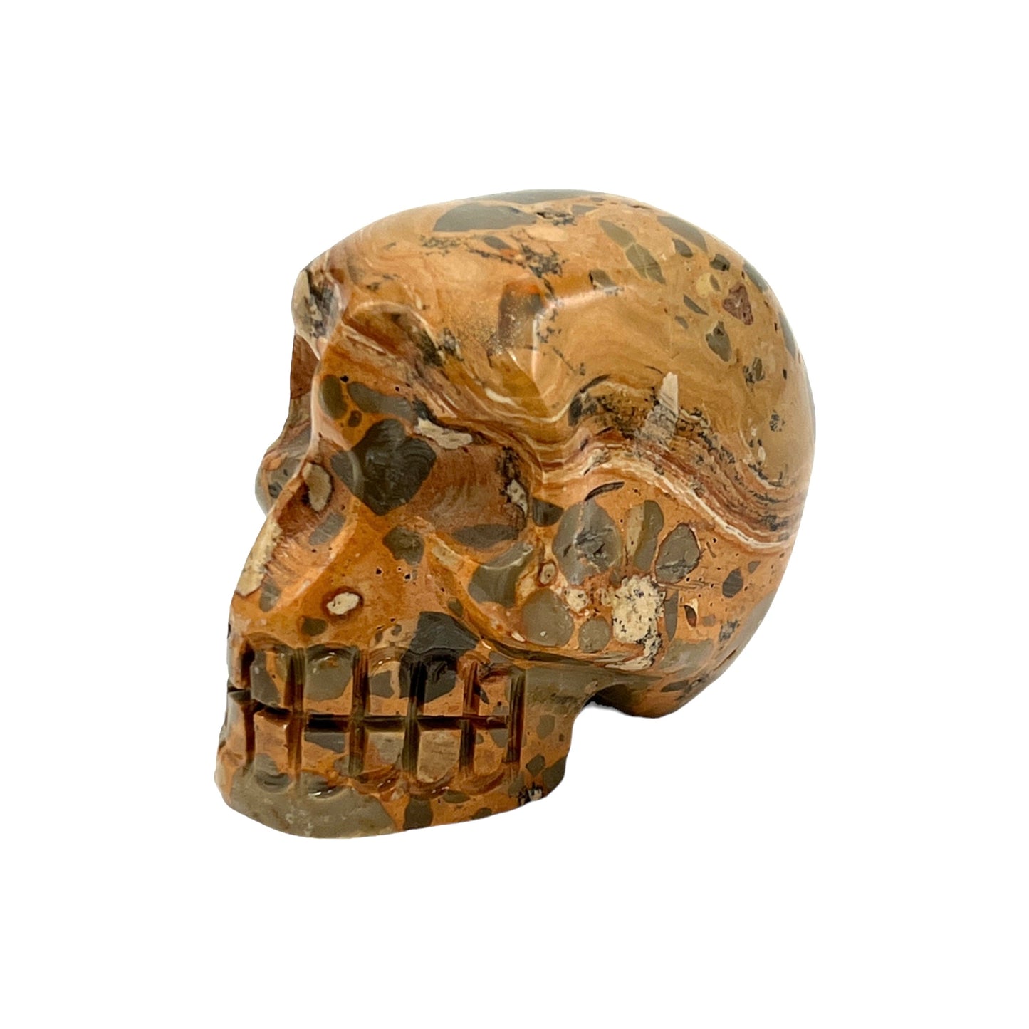 Skull (Leopard Jasper)