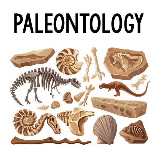 Paleontology Class