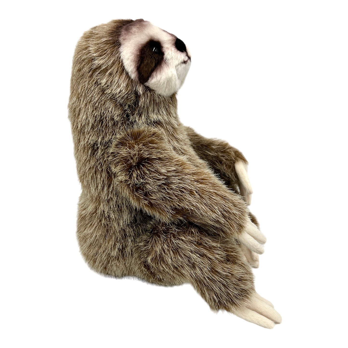 Sloth Plush