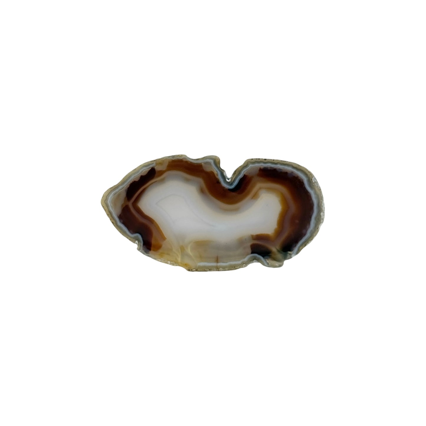 Agate Slice (Small)