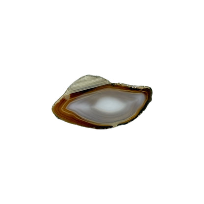 Agate Slice (Small)