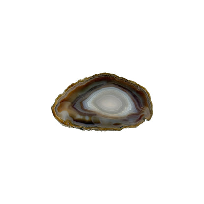 Agate Slice (Small)