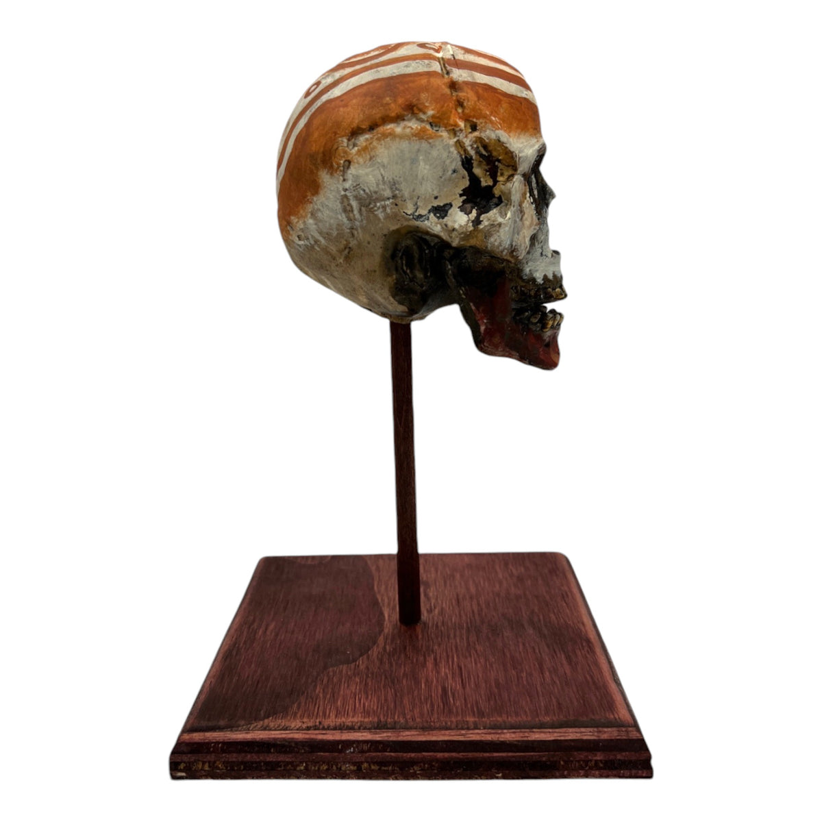 Dreamtime Skull (Small)