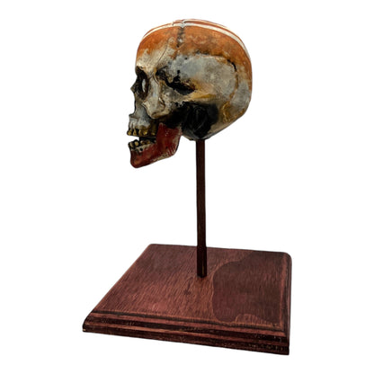 Dreamtime Skull (Small)