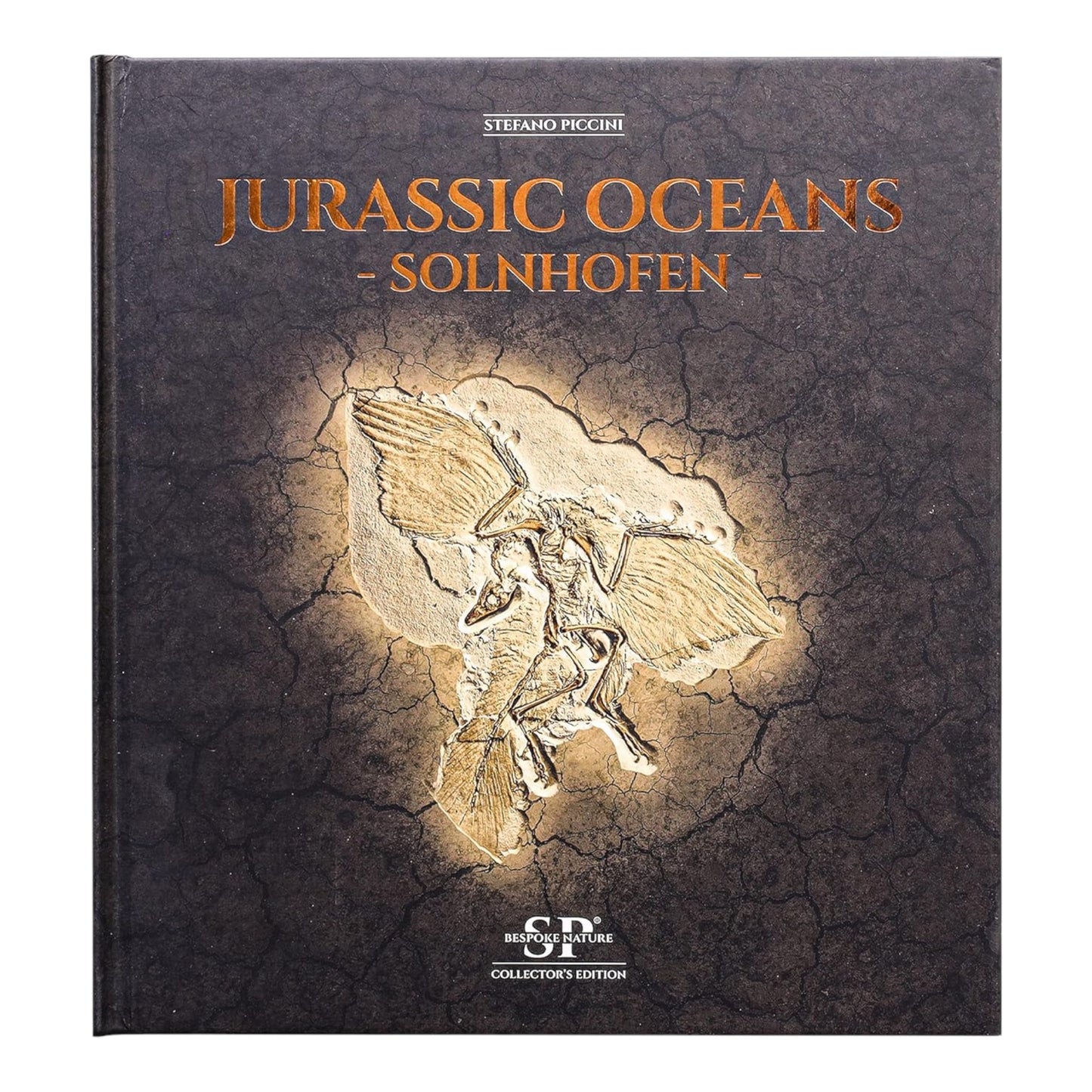 Jurassic Oceans - Solnhofen