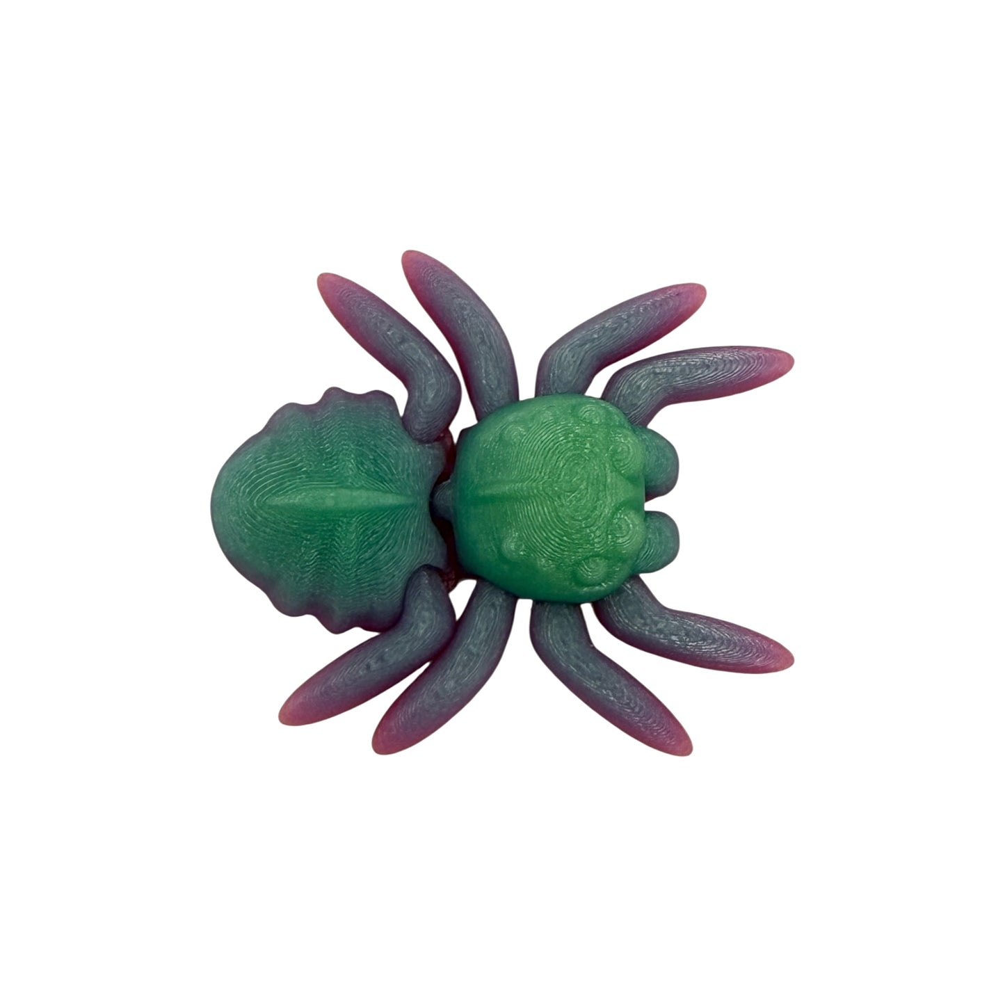 3D Printed Spider